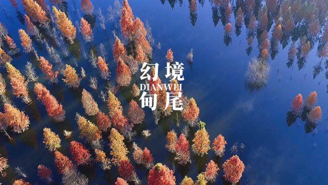 21岁，女孩，屁屁大，有点，自卑，尴尬，怎么办？游戏画面