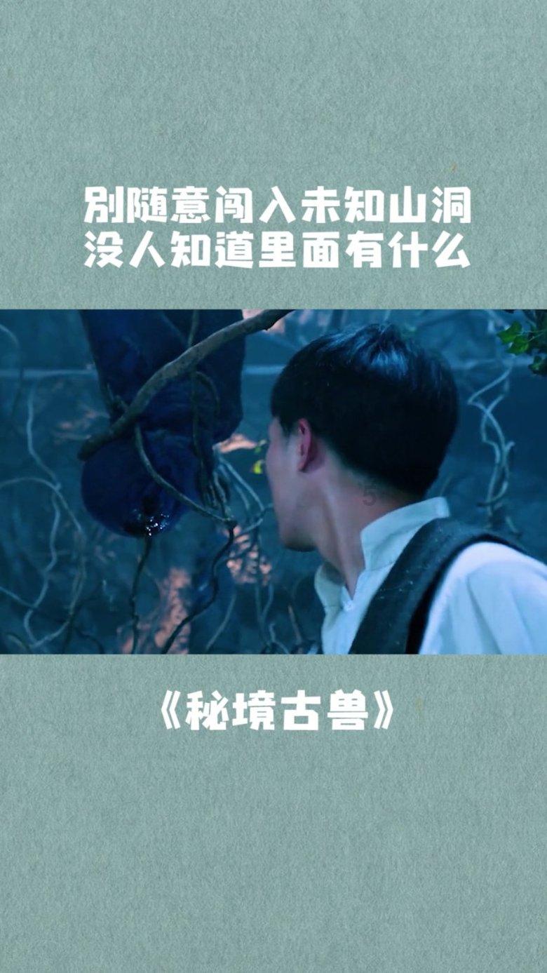 舰无虚发：暗星
