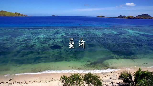 合金装备幸存