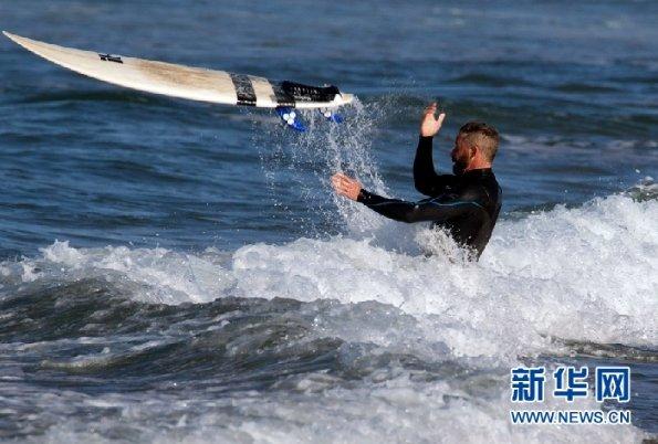 红树林逃生