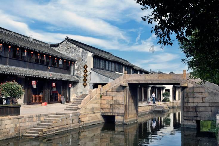 救援鹦鹉